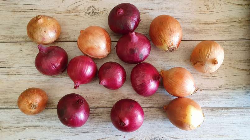 Onion and its health benefits