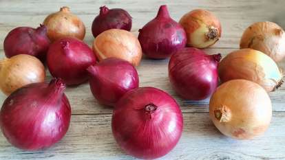 Onion and its health benefits, photo 3