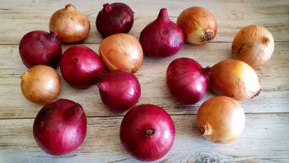 Onion and its health benefits, photo 4