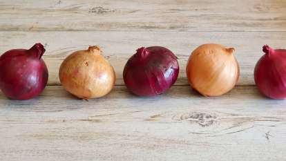 Onion and its health benefits, photo 5