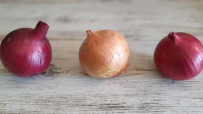 Onion and its health benefits, photo 8