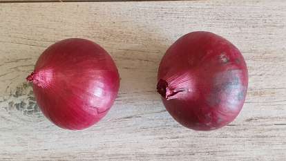 Onion and its health benefits, photo 11