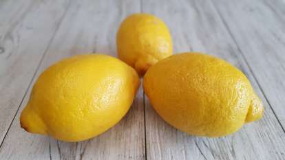 Lemon, photo 4