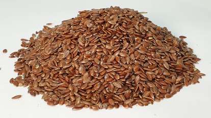 Flaxseed, photo 2