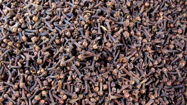 Cloves