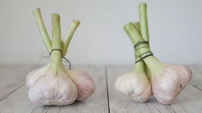 Garlic, photo 1