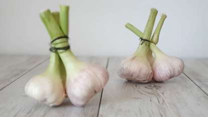 Garlic, photo 4