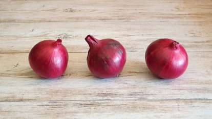 Red onion, photo 3