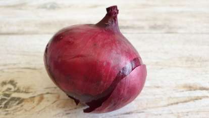 Red onion, photo 5