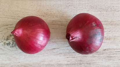 Red onion, photo 4