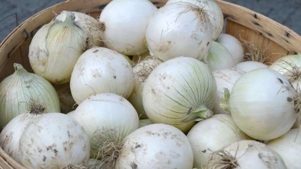 White onion