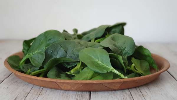 Spinach, photo 4