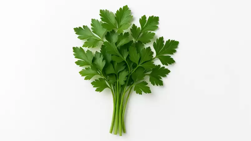 Parsley