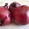Red onion – an elixir for your health
