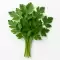 Parsley 🌿 - nature's secret to health, detox and vitality