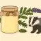 Bad badger butter: the cure to strengthen lungs and immunity