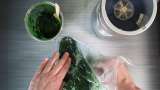 Eye concealer remedy with Spinach, Spirulina, Honey and Green Tea - Preparation step 4