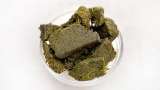 Nettle poultice for rheumatism - Preparation step 1
