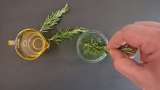 Rosemary oil obtained by transfer - Preparation step 2