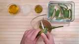 Aloe Vera cream with olive oil, grape seed oil and coconut oil - Preparation step 2