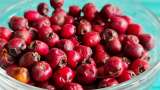 Tincture of fresh hawthorn berries - Preparation step 1