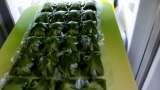 Parsley juice with lime in ice packs - Preparation step 6