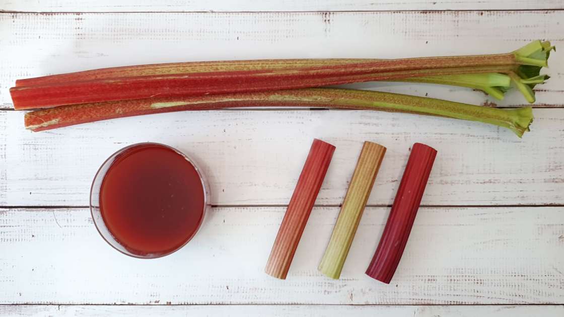 Rhubarb syrup, photo 2