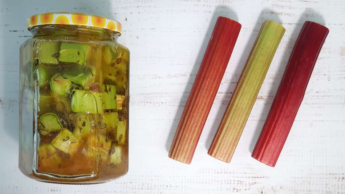 Rhubarb macerate with honey, green tea, mint and various spices, photo 4