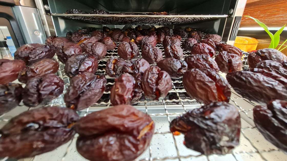 Prunes dried in the dehydrator, photo 9