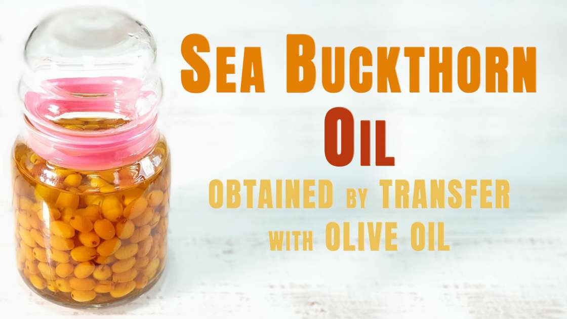 Sea buckthorn oil obtained by transfer, photo 1