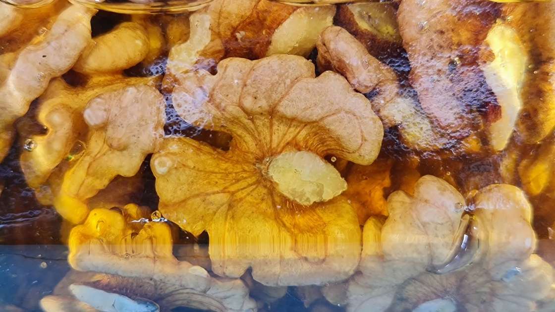 Walnut kernels with honey in a jar, photo 5