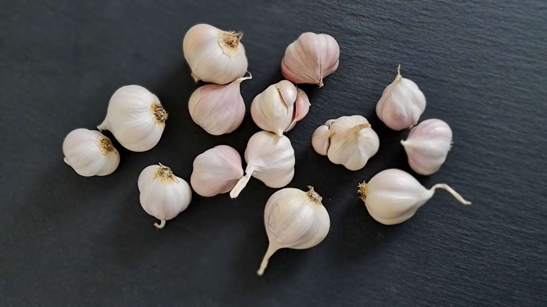 Cure with whole garlic cloves, photo 5