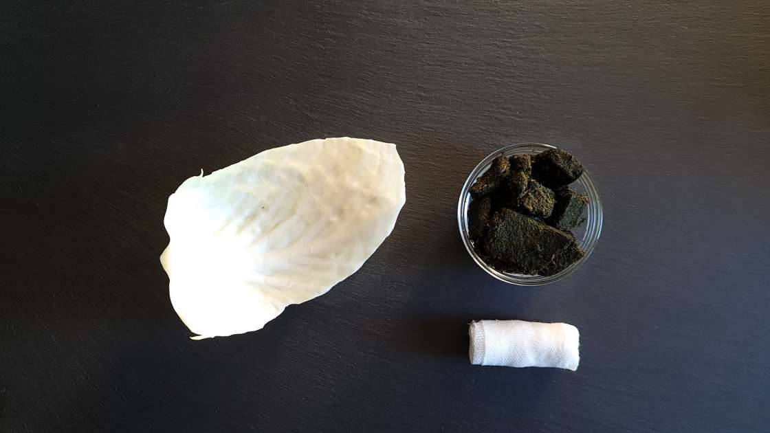 Nettle poultice for rheumatism, photo 1