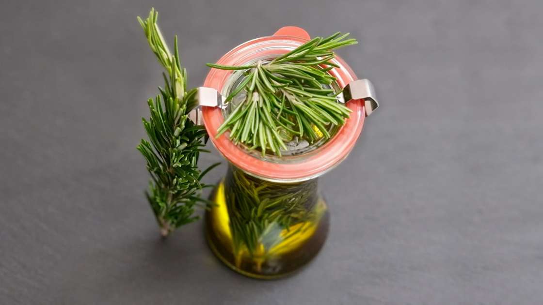Rosemary oil obtained by transfer, photo 5