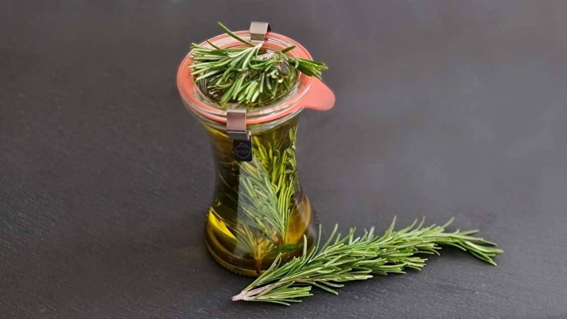 Rosemary oil obtained by transfer, photo 6