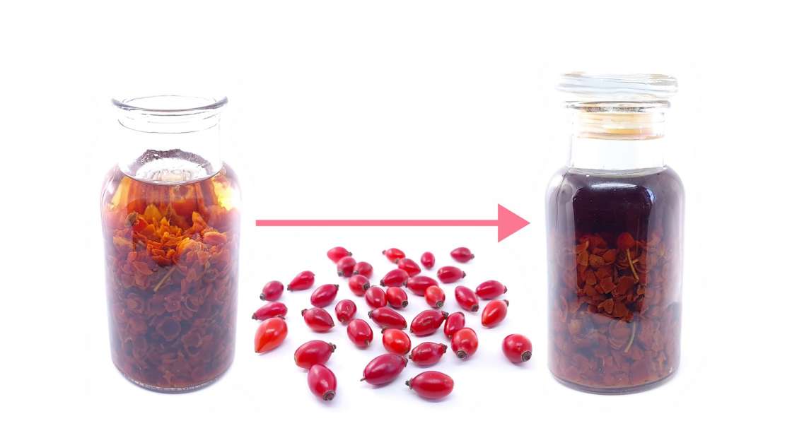 Tincture of dried Rosehips in Alcohol, photo 1