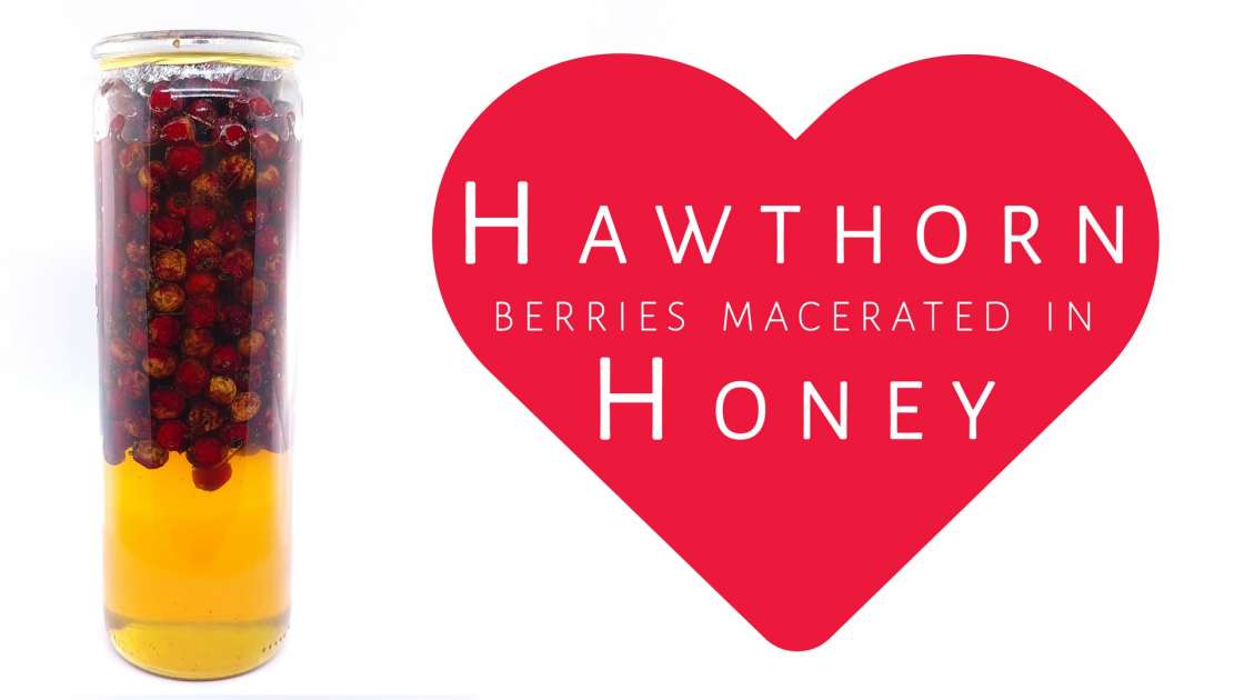 Macerate of hawthorn berries with honey
