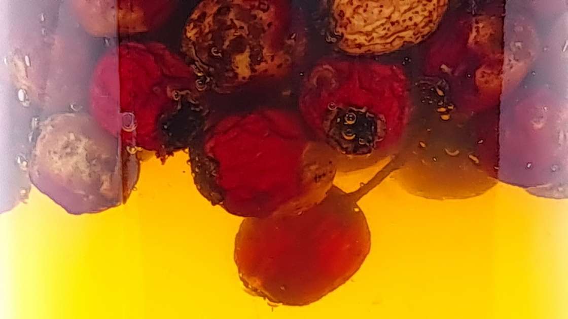 Macerate of hawthorn berries with honey, photo 5