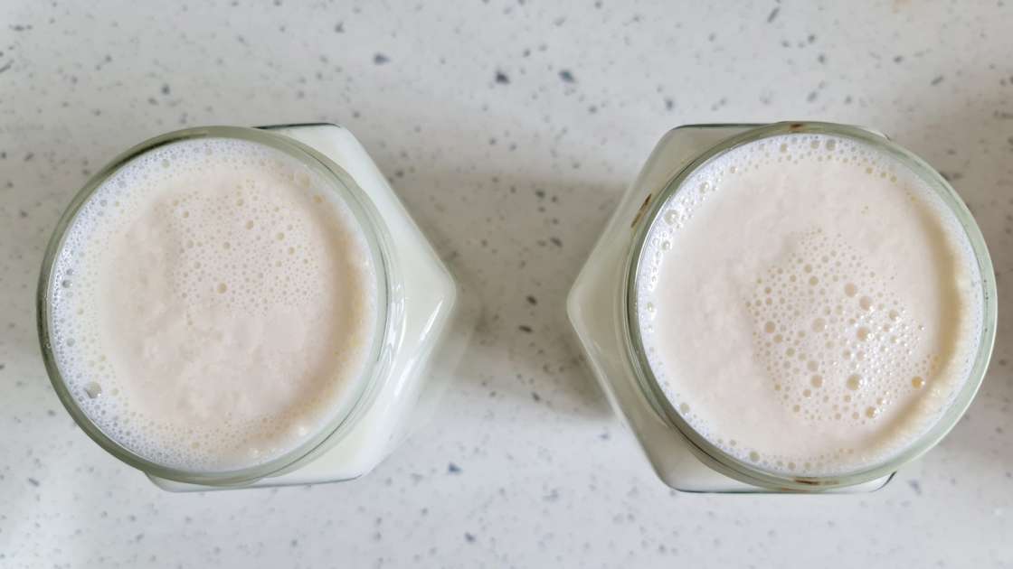 Homemade yogurt made from fermented milk and sour cream, photo 2