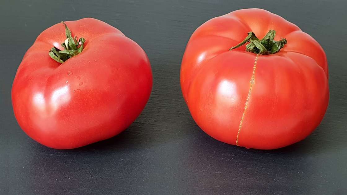 Fresh tomato juice with honey to strengthen bones and joints, photo 2