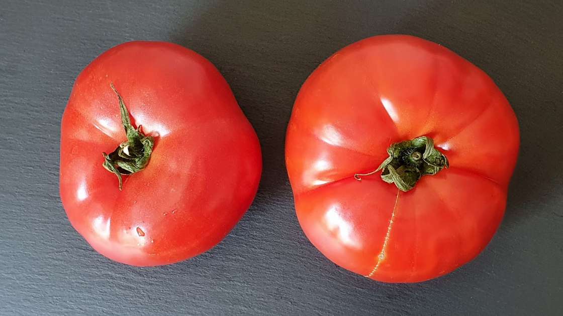 Fresh tomato juice with honey to strengthen bones and joints, photo 3