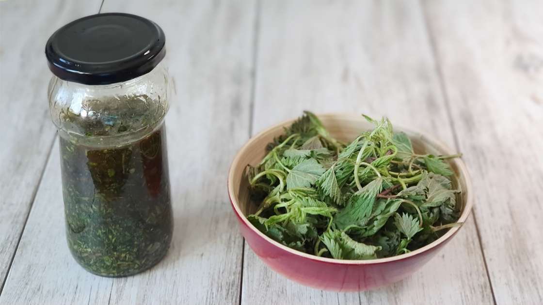 Nettle syrup with honey, photo 2