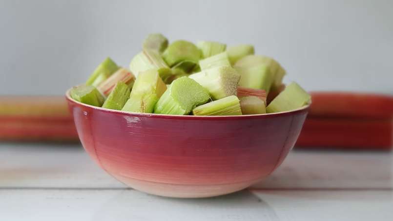 Rhubarb macerate with honey, photo 3
