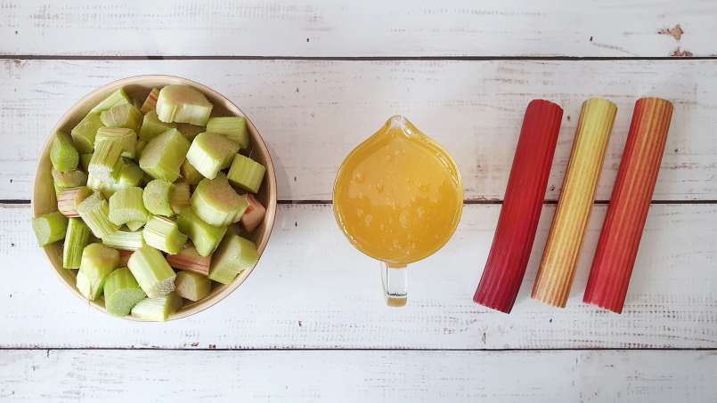 Rhubarb macerate with honey, photo 6