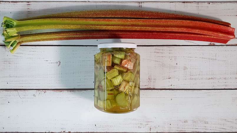 Rhubarb macerate with honey, photo 7