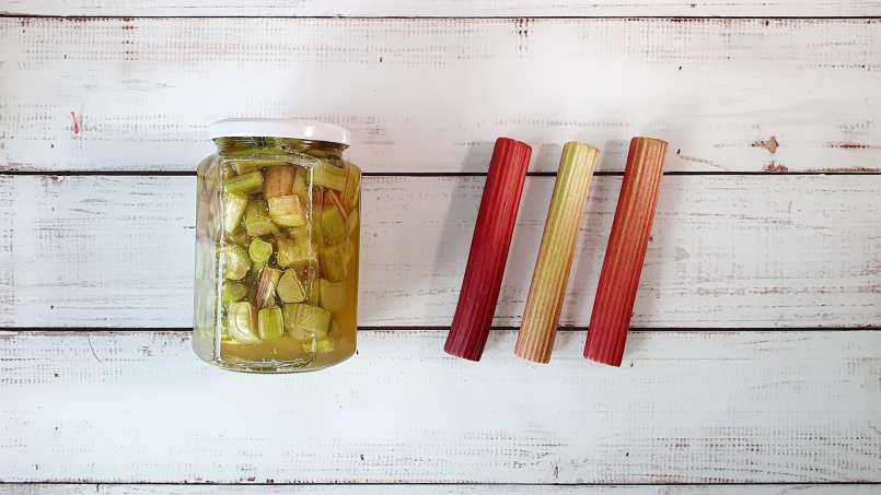 Rhubarb macerate with honey, photo 8