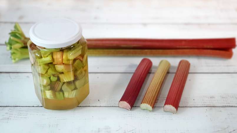 Rhubarb macerate with honey, photo 9