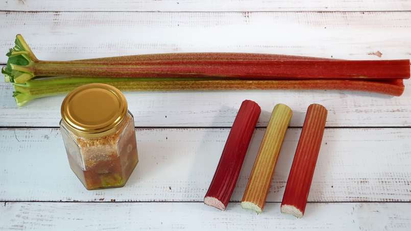 Rhubarb syrup obtained by maceration with sugar, photo 6