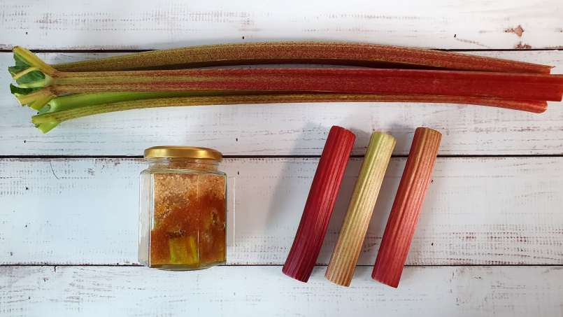 Rhubarb syrup obtained by maceration with sugar, photo 7