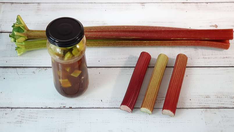 Rhubarb macerate with honey and ginger, photo 6
